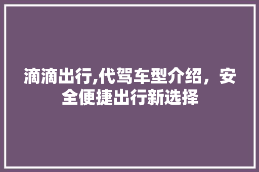 滴滴出行,代驾车型介绍，安全便捷出行新选择
