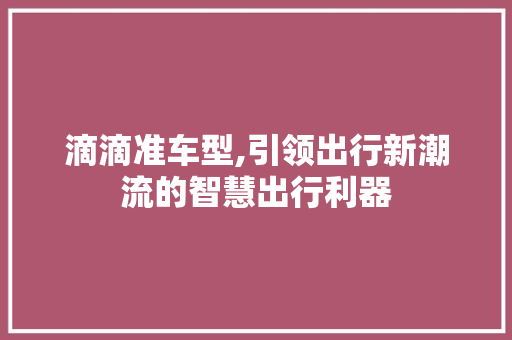 滴滴准车型,引领出行新潮流的智慧出行利器
