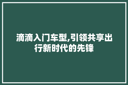 滴滴入门车型,引领共享出行新时代的先锋