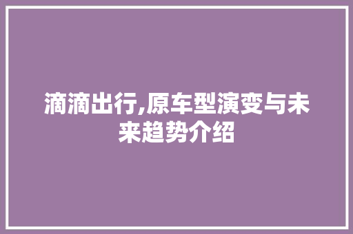 滴滴出行,原车型演变与未来趋势介绍