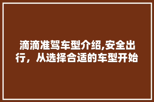 滴滴准驾车型介绍,安全出行，从选择合适的车型开始