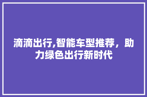 滴滴出行,智能车型推荐，助力绿色出行新时代