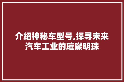 介绍神秘车型号,探寻未来汽车工业的璀璨明珠