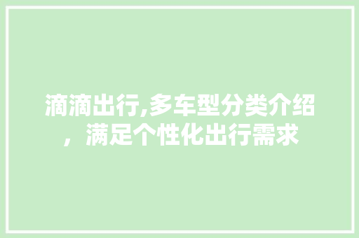 滴滴出行,多车型分类介绍，满足个性化出行需求