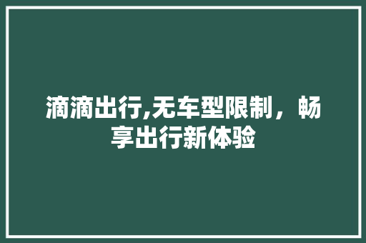 滴滴出行,无车型限制，畅享出行新体验
