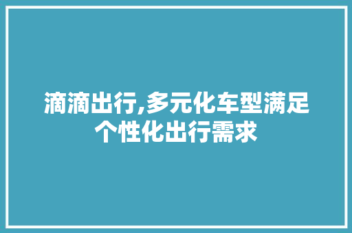 滴滴出行,多元化车型满足个性化出行需求