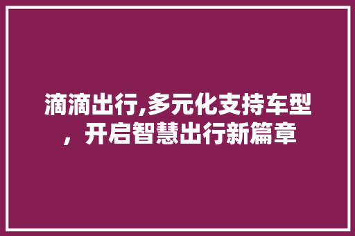 滴滴出行,多元化支持车型，开启智慧出行新篇章