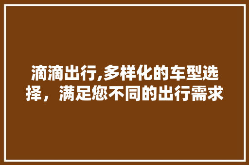滴滴出行,多样化的车型选择，满足您不同的出行需求