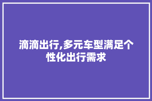 滴滴出行,多元车型满足个性化出行需求