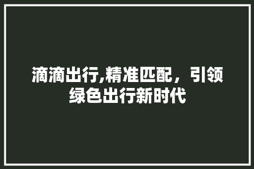滴滴出行,精准匹配，引领绿色出行新时代