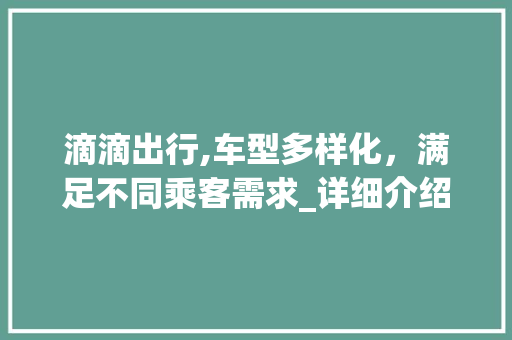 滴滴出行,车型多样化，满足不同乘客需求_详细介绍滴滴出行车型布局步骤