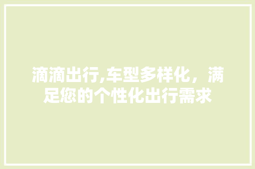 滴滴出行,车型多样化，满足您的个性化出行需求
