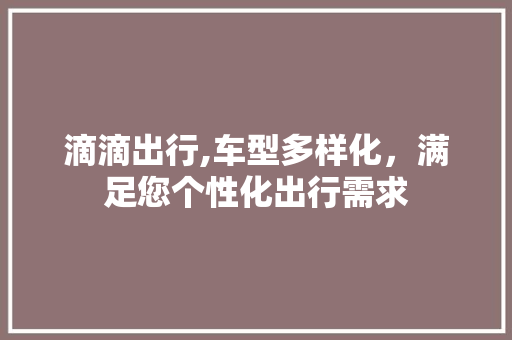 滴滴出行,车型多样化，满足您个性化出行需求