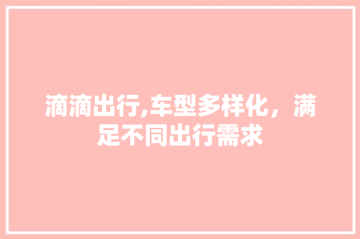 滴滴出行,车型多样化，满足不同出行需求