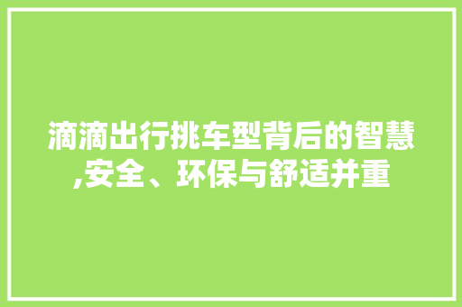 滴滴出行挑车型背后的智慧,安全、环保与舒适并重