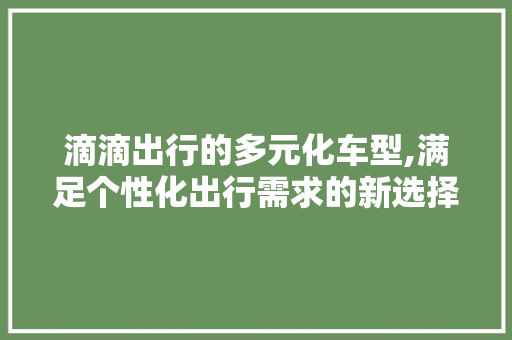 滴滴出行的多元化车型,满足个性化出行需求的新选择