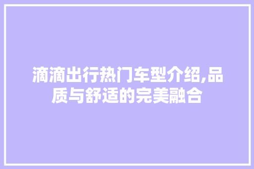 滴滴出行热门车型介绍,品质与舒适的完美融合