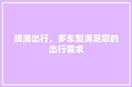 滴滴出行，多车型满足您的出行需求