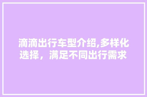 滴滴出行车型介绍,多样化选择，满足不同出行需求