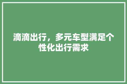 滴滴出行，多元车型满足个性化出行需求