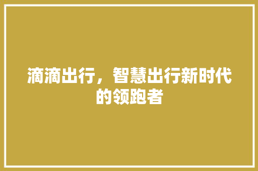 滴滴出行，智慧出行新时代的领跑者