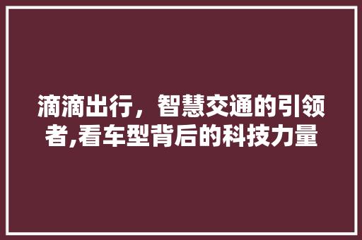 滴滴出行，智慧交通的引领者,看车型背后的科技力量