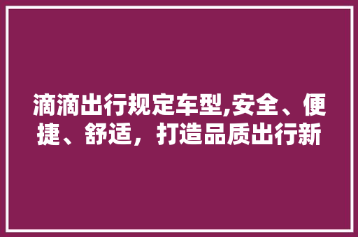 滴滴出行规定车型,安全、便捷、舒适，打造品质出行新体验