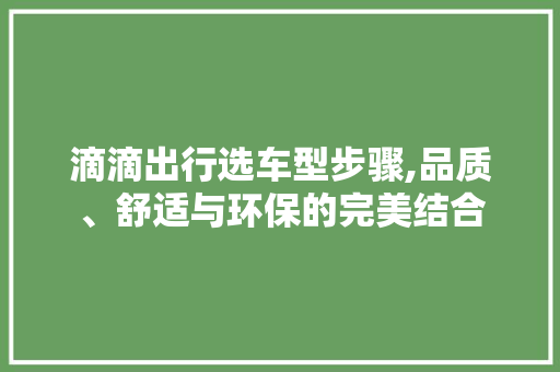 滴滴出行选车型步骤,品质、舒适与环保的完美结合