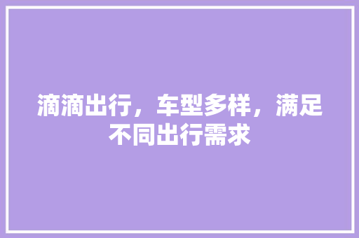 滴滴出行，车型多样，满足不同出行需求