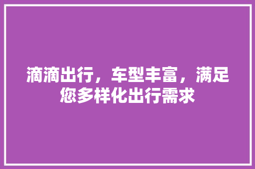 滴滴出行，车型丰富，满足您多样化出行需求
