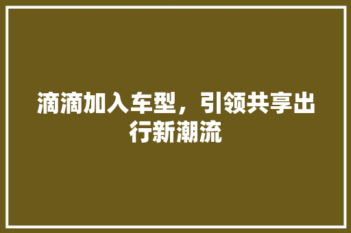 滴滴加入车型，引领共享出行新潮流