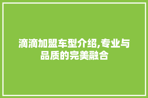滴滴加盟车型介绍,专业与品质的完美融合