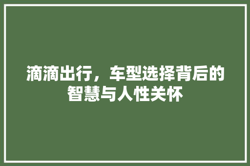 滴滴出行，车型选择背后的智慧与人性关怀