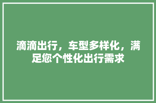 滴滴出行，车型多样化，满足您个性化出行需求