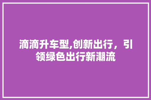 滴滴升车型,创新出行，引领绿色出行新潮流