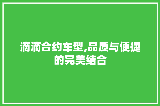 滴滴合约车型,品质与便捷的完美结合