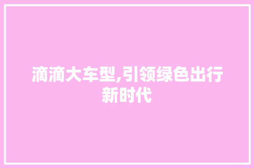 滴滴大车型,引领绿色出行新时代
