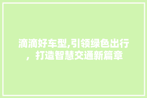 滴滴好车型,引领绿色出行，打造智慧交通新篇章