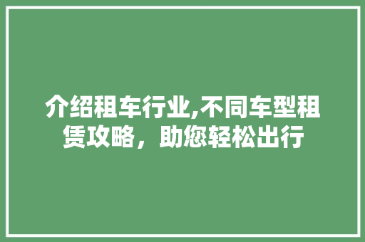 介绍租车行业,不同车型租赁攻略，助您轻松出行