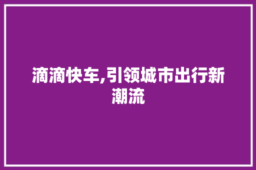 滴滴快车,引领城市出行新潮流