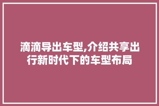 滴滴导出车型,介绍共享出行新时代下的车型布局