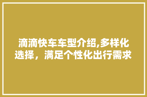滴滴快车车型介绍,多样化选择，满足个性化出行需求