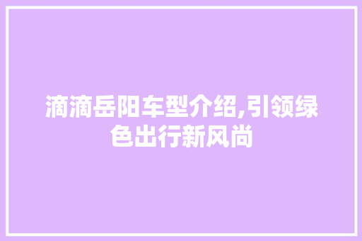 滴滴岳阳车型介绍,引领绿色出行新风尚