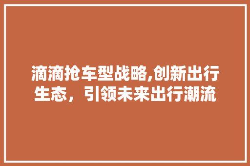 滴滴抢车型战略,创新出行生态，引领未来出行潮流