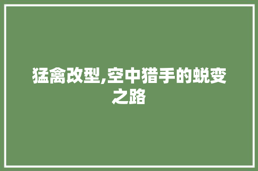 猛禽改型,空中猎手的蜕变之路