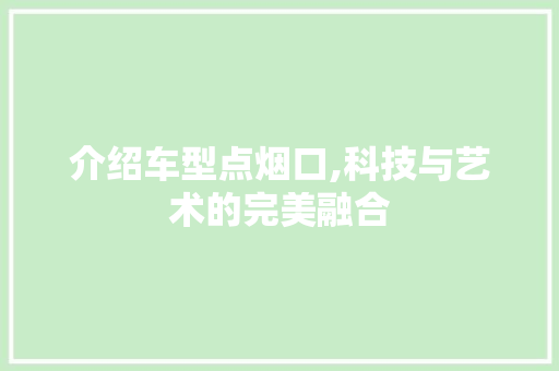 介绍车型点烟口,科技与艺术的完美融合