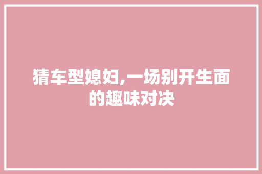 猜车型媳妇,一场别开生面的趣味对决
