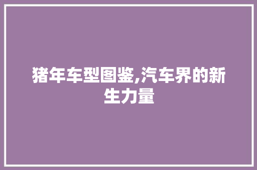 猪年车型图鉴,汽车界的新生力量