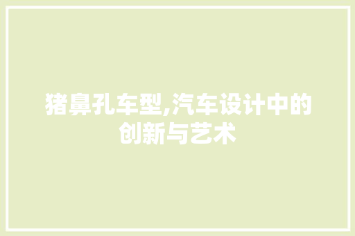 猪鼻孔车型,汽车设计中的创新与艺术