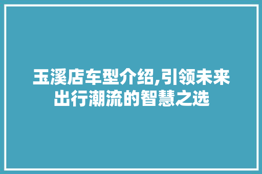 玉溪店车型介绍,引领未来出行潮流的智慧之选